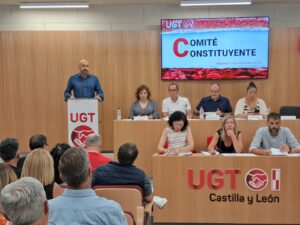 Comité Constituyente de Castilla y León