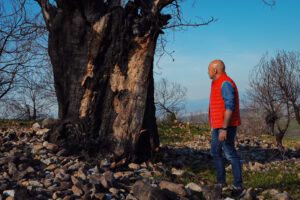 Óscar Lobo: “Castilla y León necesita una política de incendios a la altura de su masa forestal”