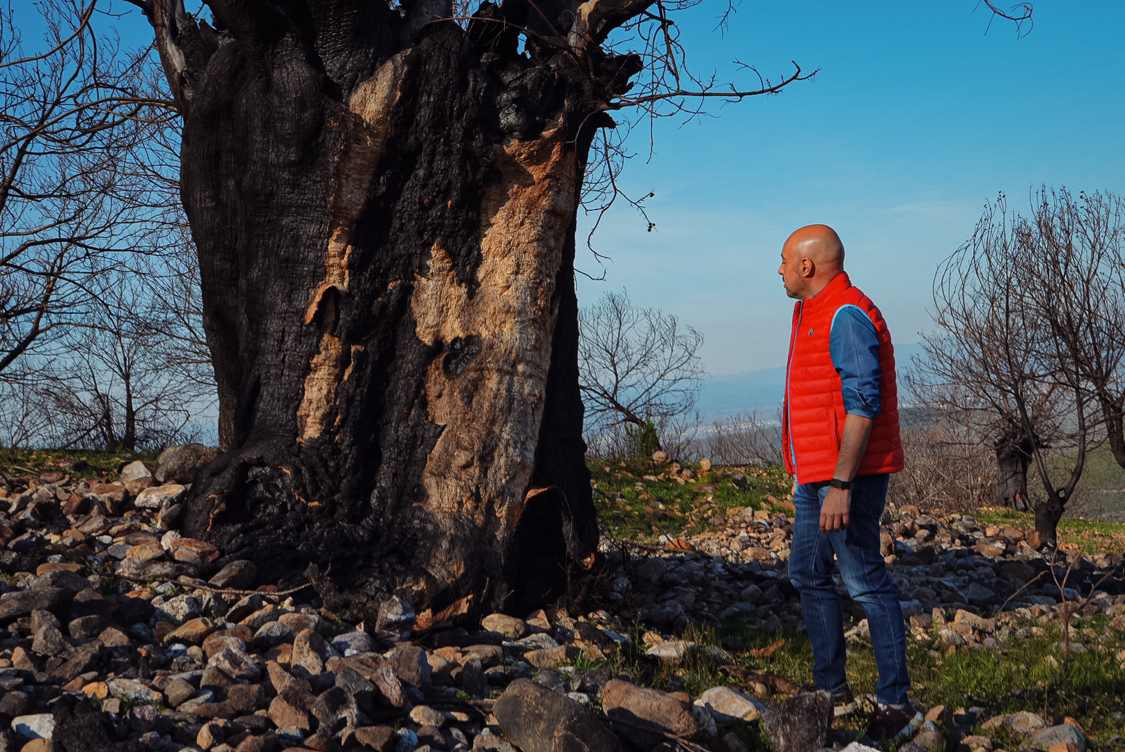 Óscar Lobo: “Castilla y León necesita una política de incendios a la altura de su masa forestal”